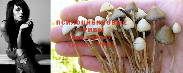 эйфоретик Абдулино